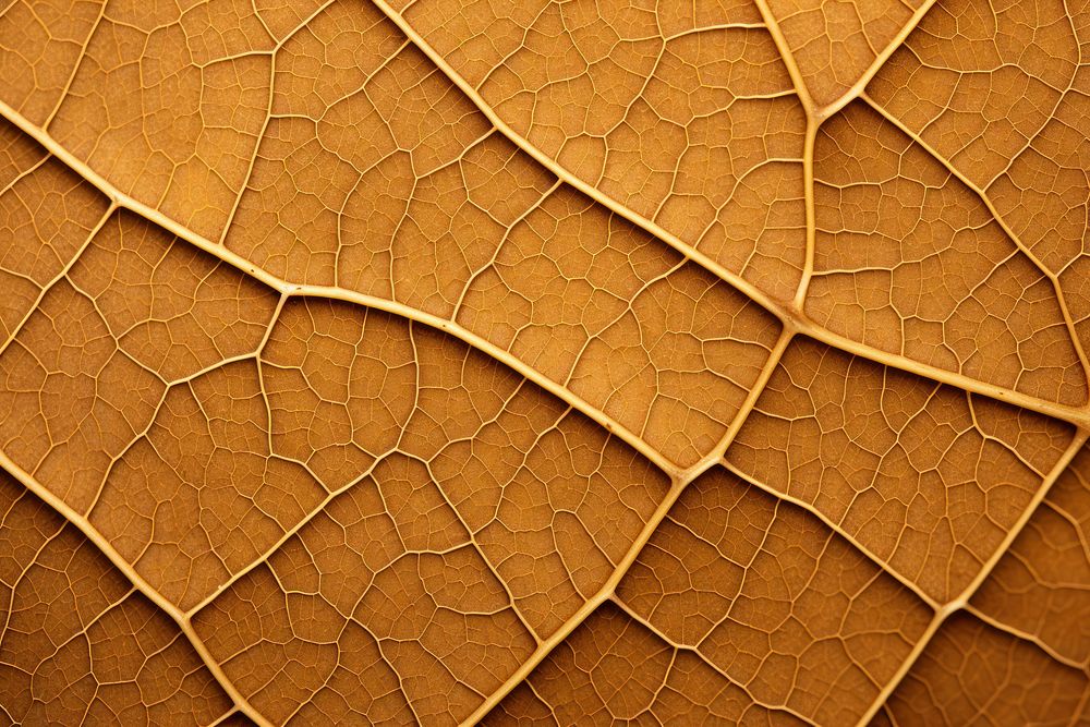 Leaf texture macro photography backgrounds full frame. AI generated Image by rawpixel.