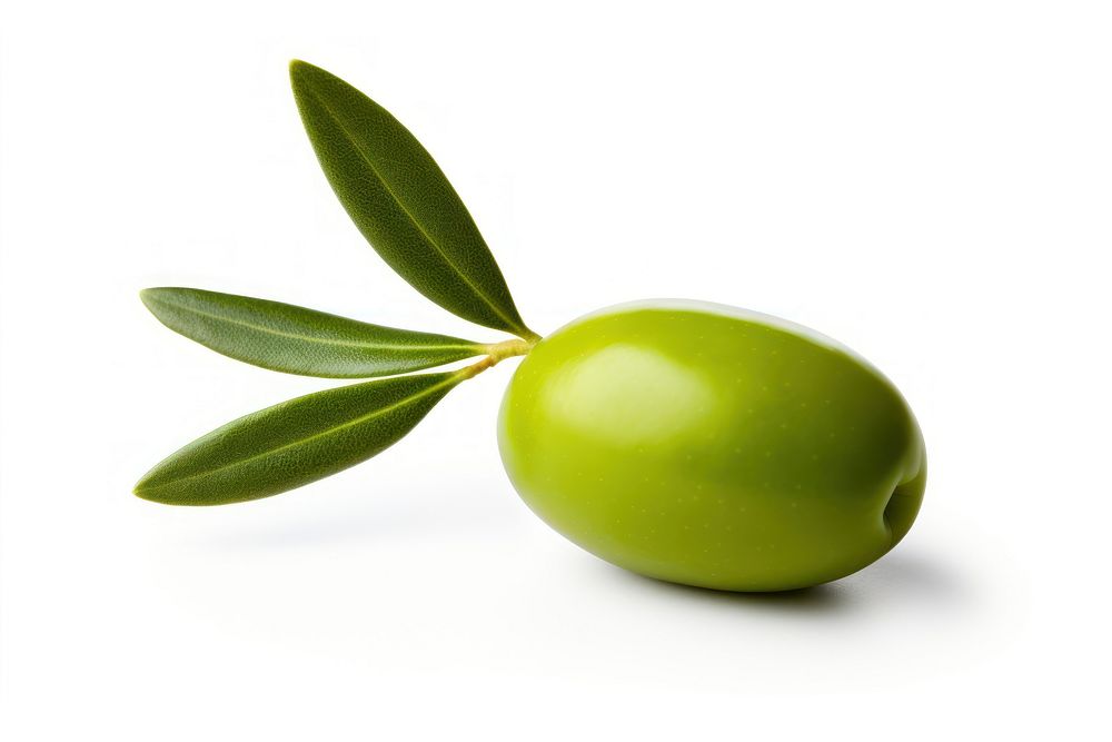  Olive no shadow fruit plant. AI generated Image by rawpixel.