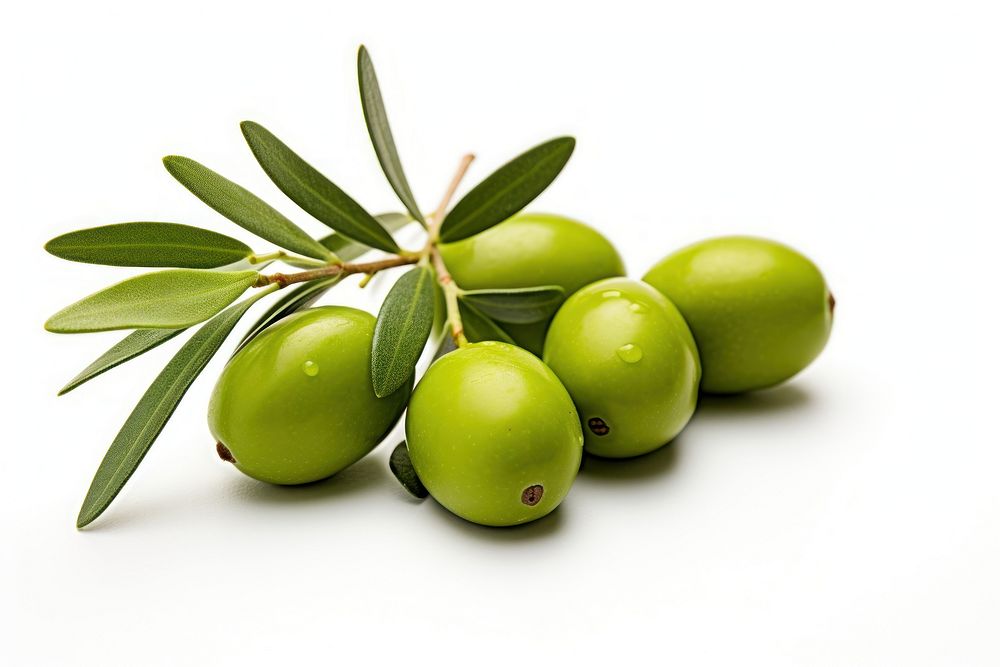 Olive fruit plant food. AI generated Image by rawpixel.