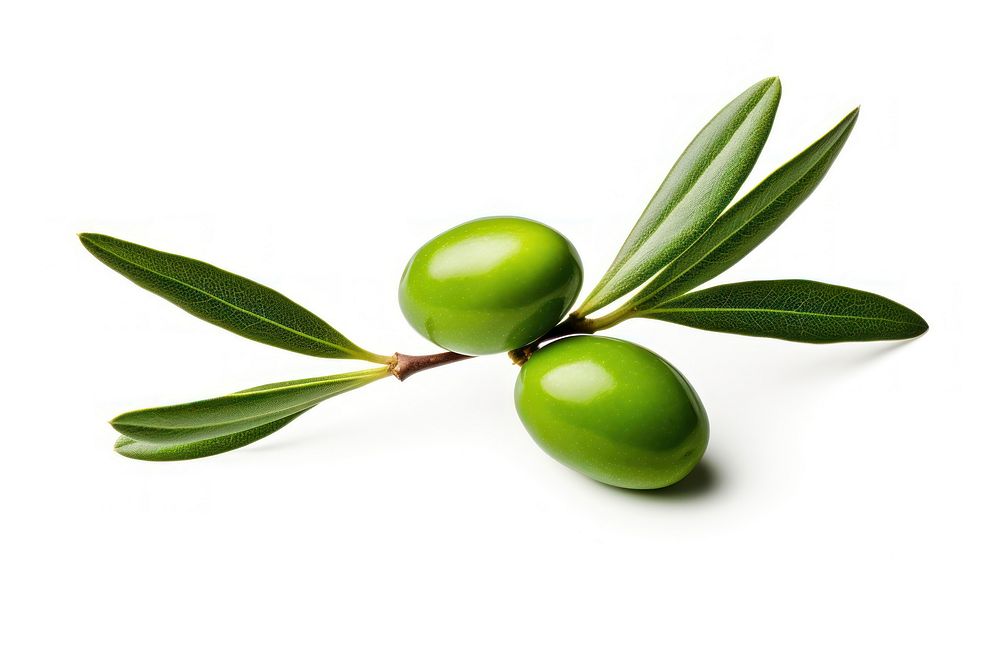  Olive fruit plant food. AI generated Image by rawpixel.