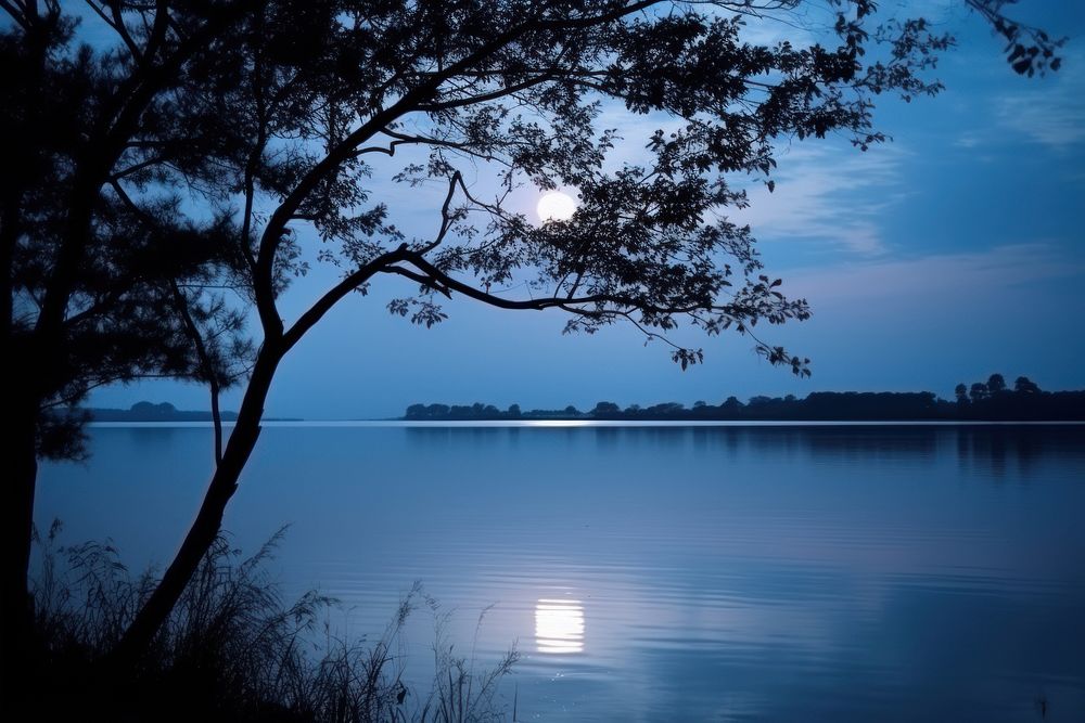 Romantic lake view lake at night nature moon.
