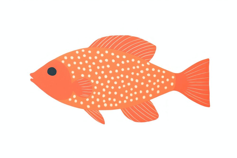 Nemo fish goldfish drawing animal.