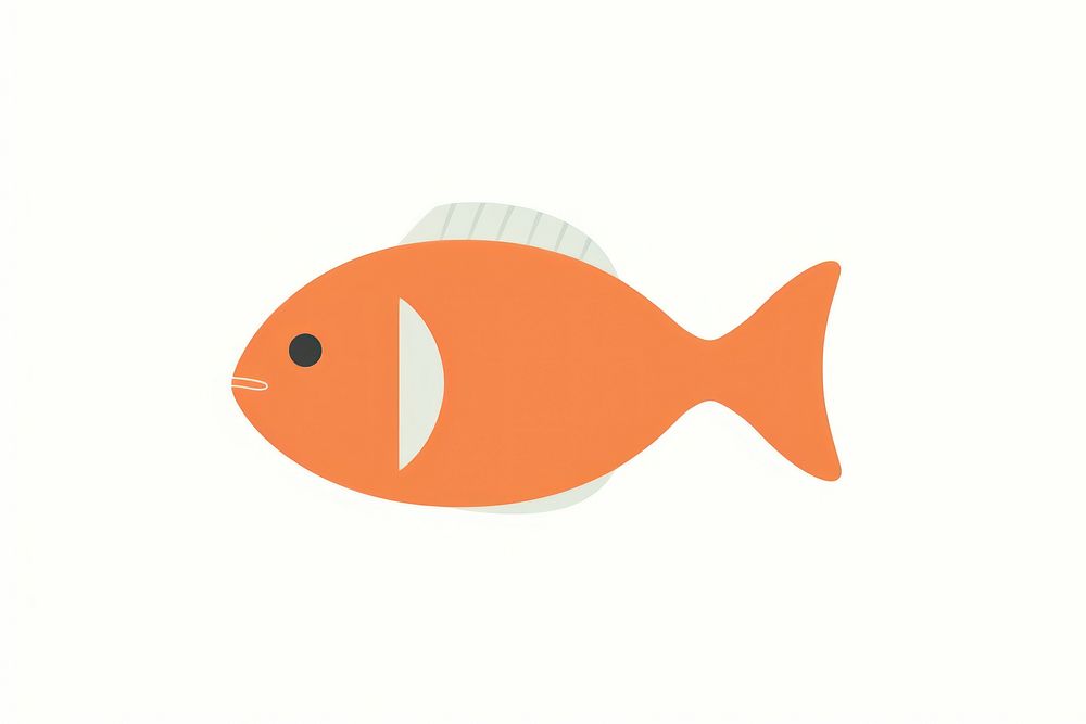 Nemo goldfish animal pomacentridae.