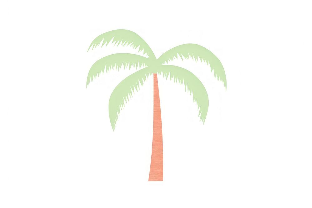 Coconut palm tree plant coconut palm tree white background.