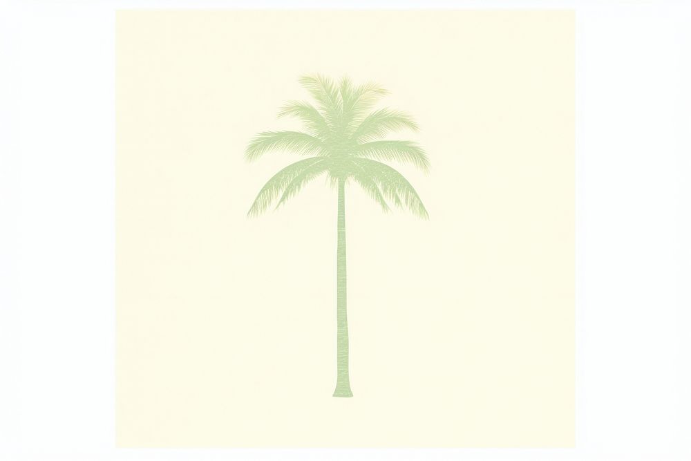 Coconut palm tree drawing nature plant.