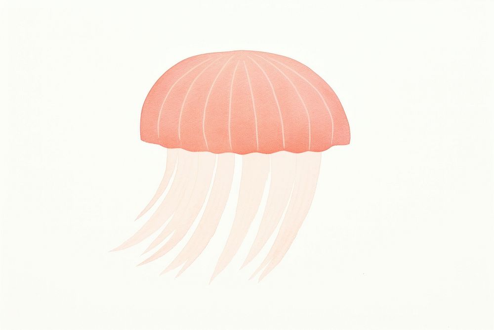 Jelly fish jellyfish drawing invertebrate.