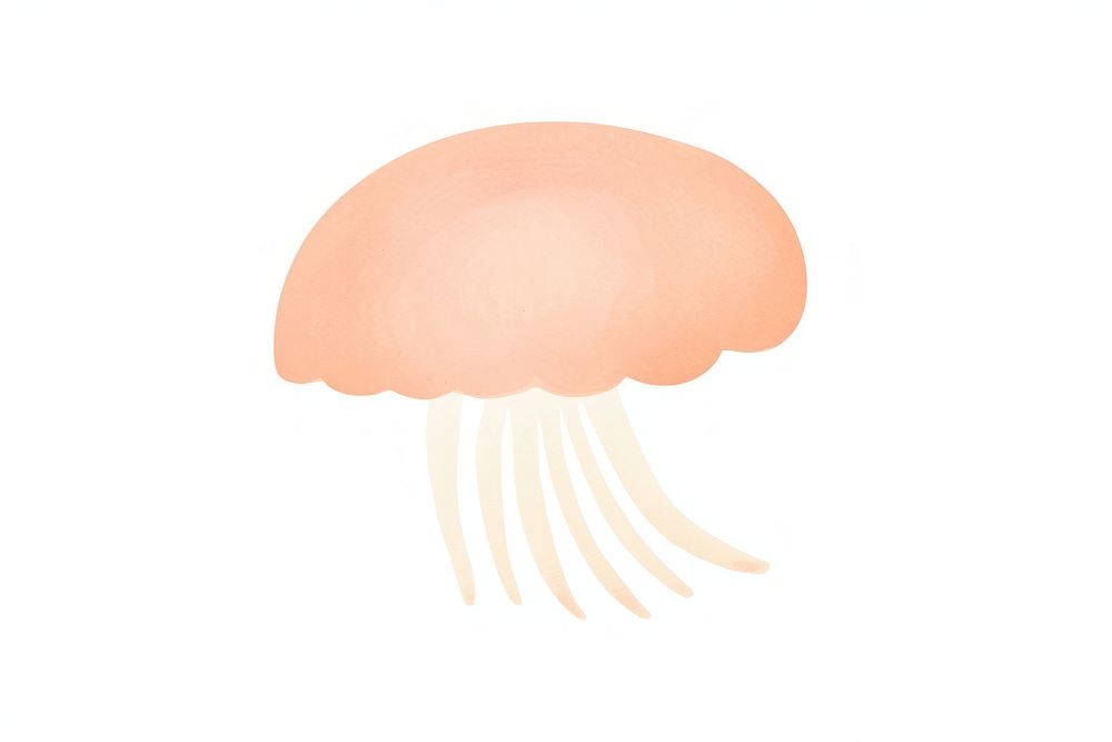 Jelly fish jellyfish drawing white background.