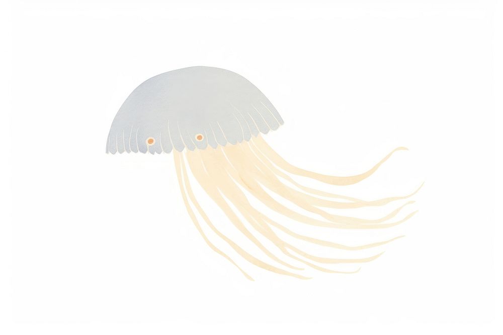 Jelly fish jellyfish drawing white background.