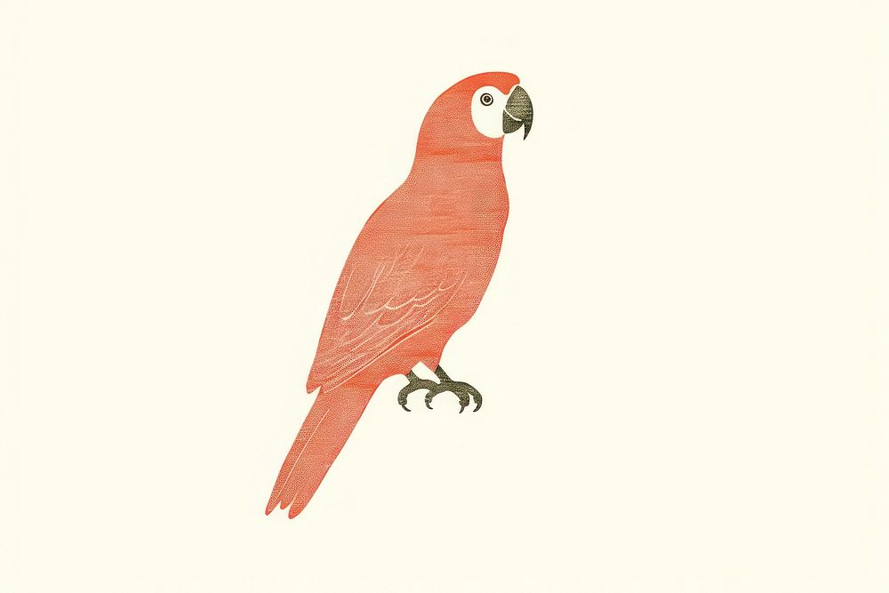 Parrot drawing animal bird.