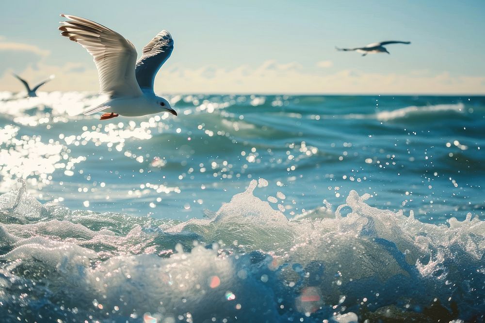 Flying bird sea outdoors. AI generated Image by rawpixel.