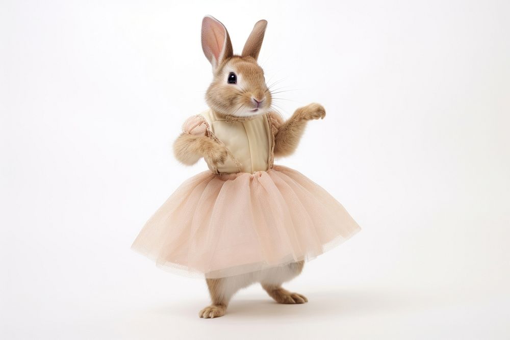 Rabbit dancing rodent animal.