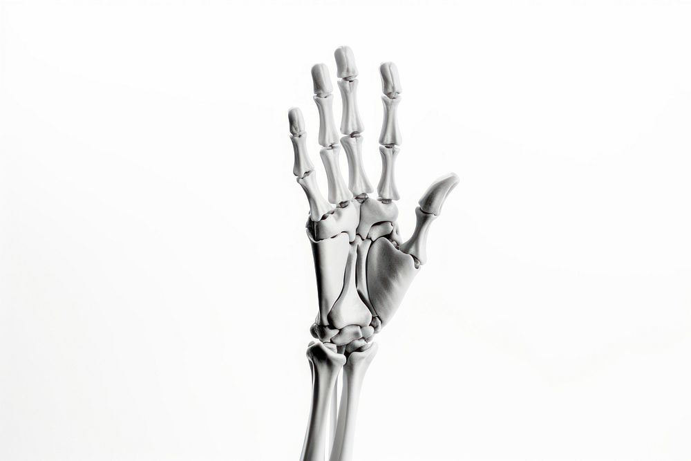 Skeleton hand white background monochrome fracture.