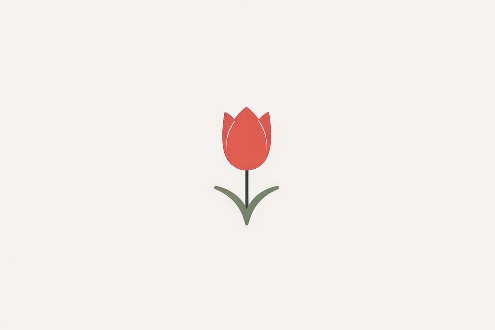 Tulip flower plant rose.