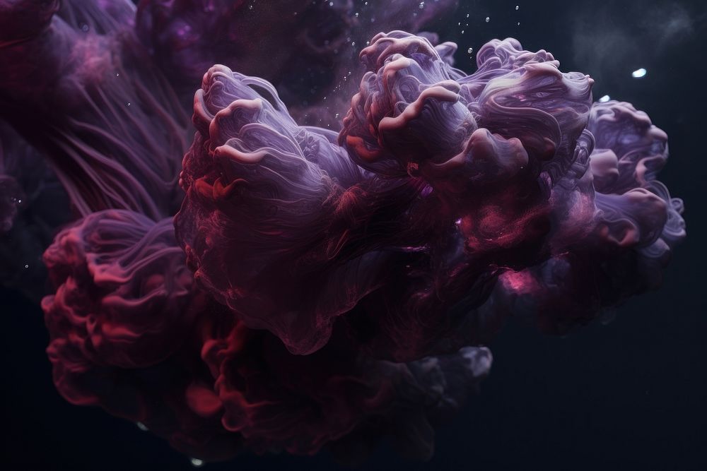 Underwater nebula jellyfish motion invertebrate.