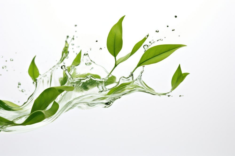Green tea leaf blowing plant herbs white background. AI generated Image by rawpixel.