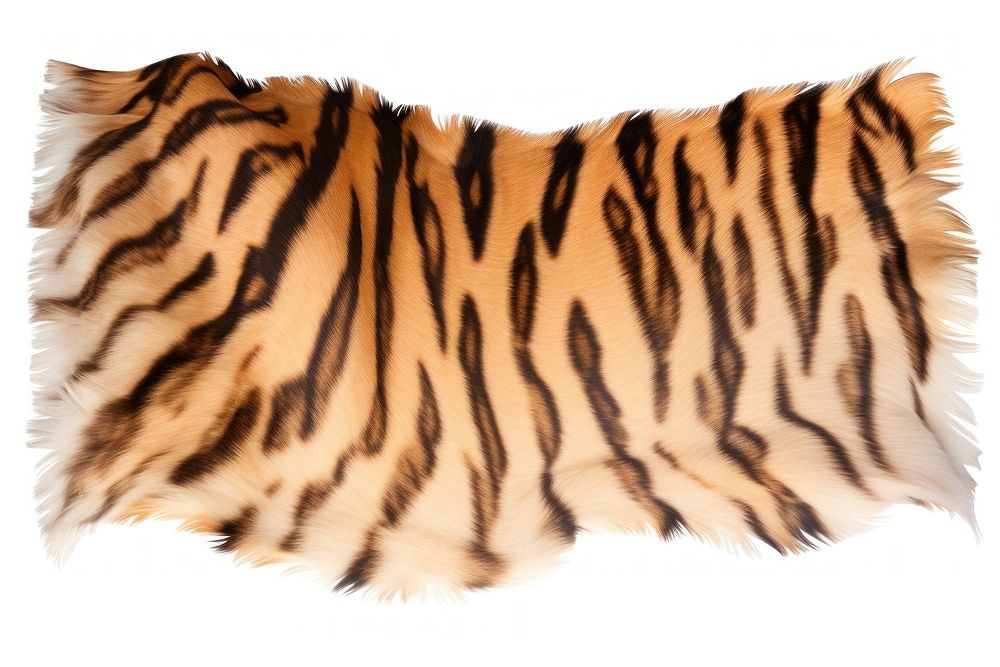 Tiger skin pattern fabric textile animal mammal.