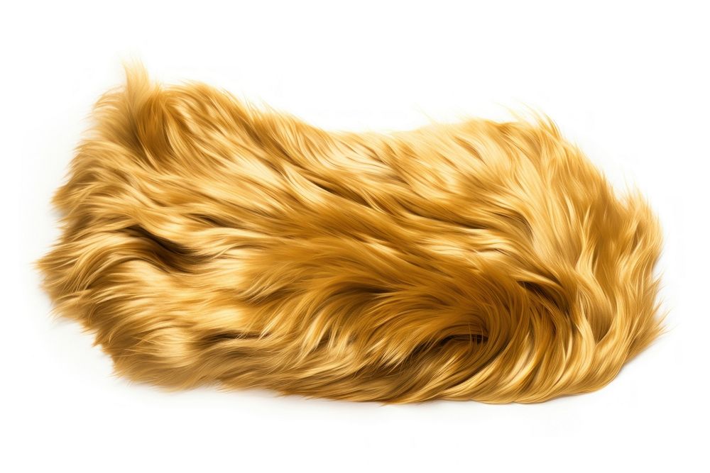 Gold fur fabric textile mammal white background.