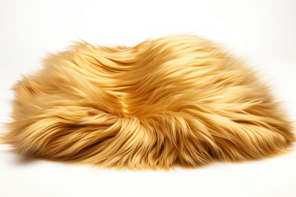 Gold fur fabric textile mammal white background.