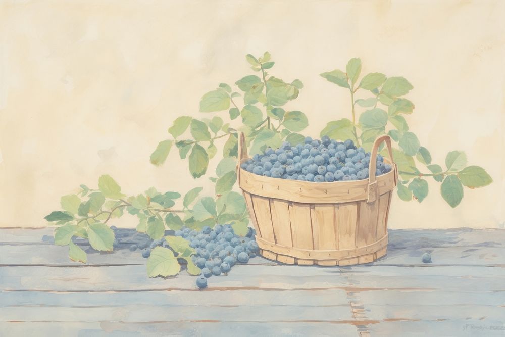 Blueberries painting basket grapes.