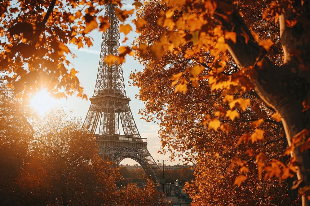 Eiffel Tower autumn tower architecture.