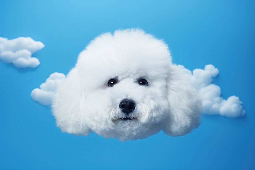 Cloud shaped dog face form animal mammal puppy. AI generated Image by rawpixel.