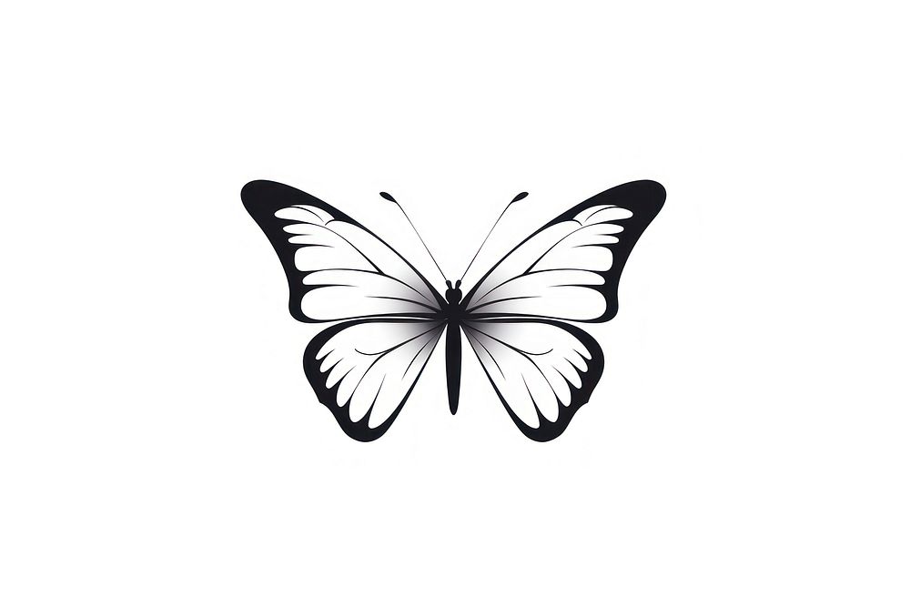 Butterfly animal sketch white.