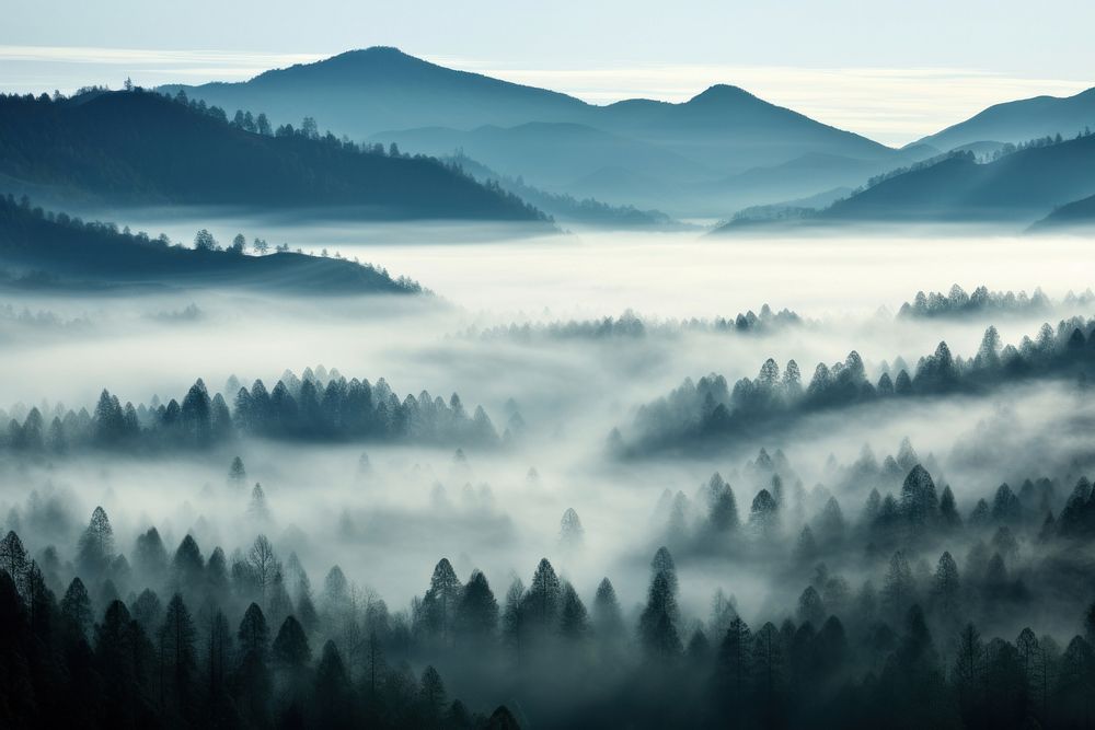 Fog landscape outdoors nature. 