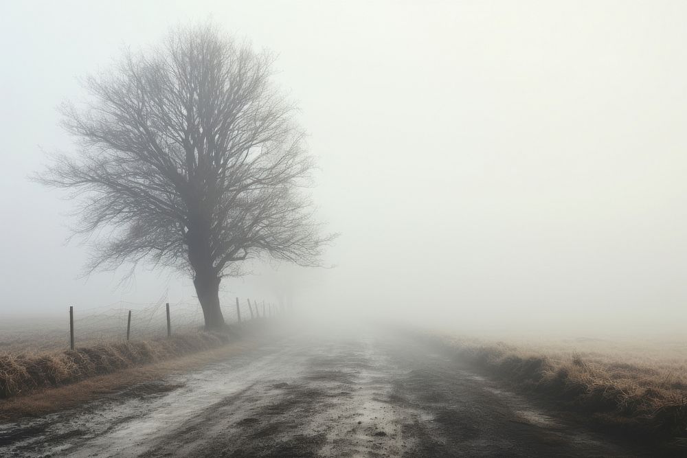 Foggy outdoors weather nature. AI | Premium Photo - rawpixel