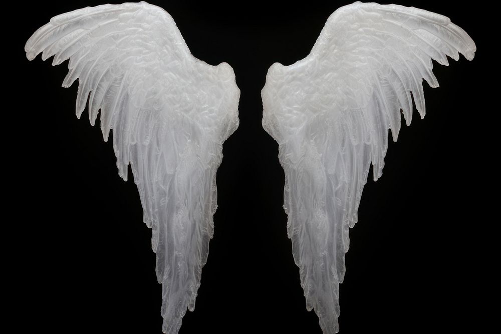 Angel wings frosted ice black background creativity archangel.