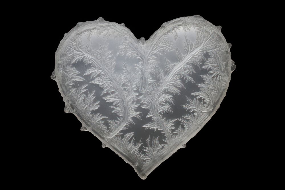 Frosted ice biology heart jewelry nature black background.