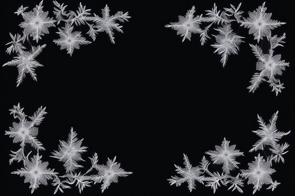 Frosted ice flower frame backgrounds snowflake winter.