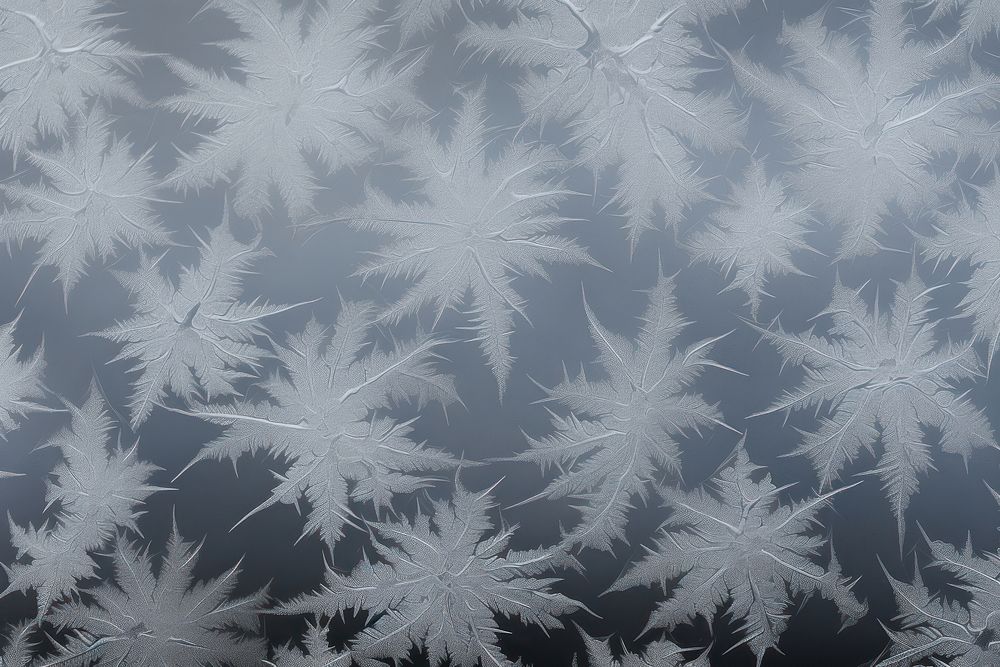Frosted ice flowers frame backgrounds nature winter.