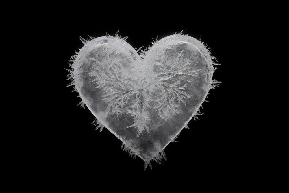 Frosted ice human heart black background creativity monochrome.