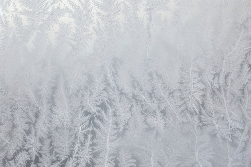 Frosted ice leaves frame backgrounds winter nature.