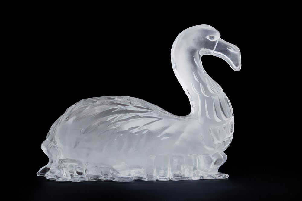 Swan frosted ice animal bird beak.