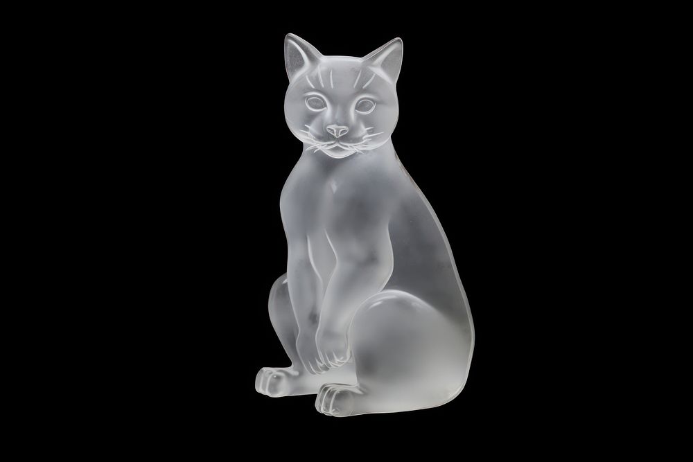 Sitting cat frosted ice sculpture animal mammal.