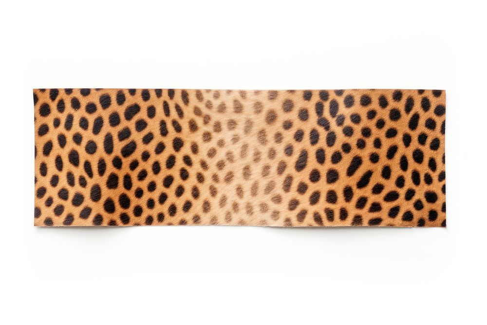 Animal pattern adhesive strip leopard animal white background. AI generated Image by rawpixel.