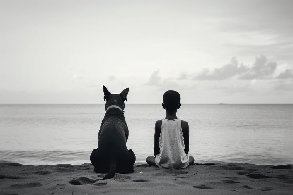 Kid and white dog sitting at beach silhouette outdoors nature.