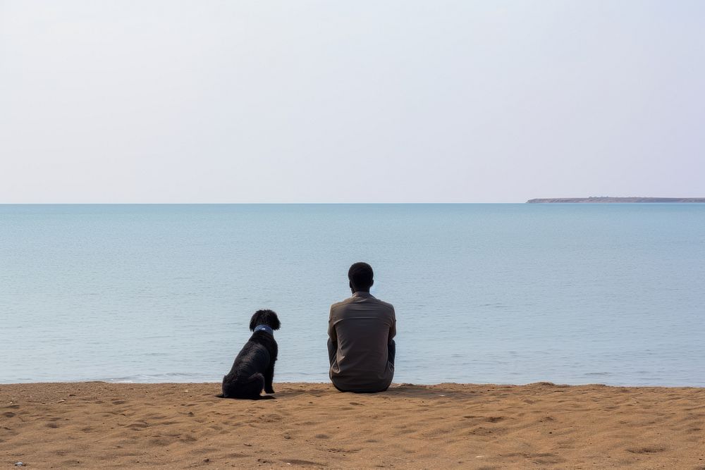 Man and dog sitting at beach outdoors horizon nature.