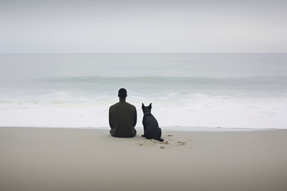 Man and dog sitting at beach silhouette outdoors horizon.