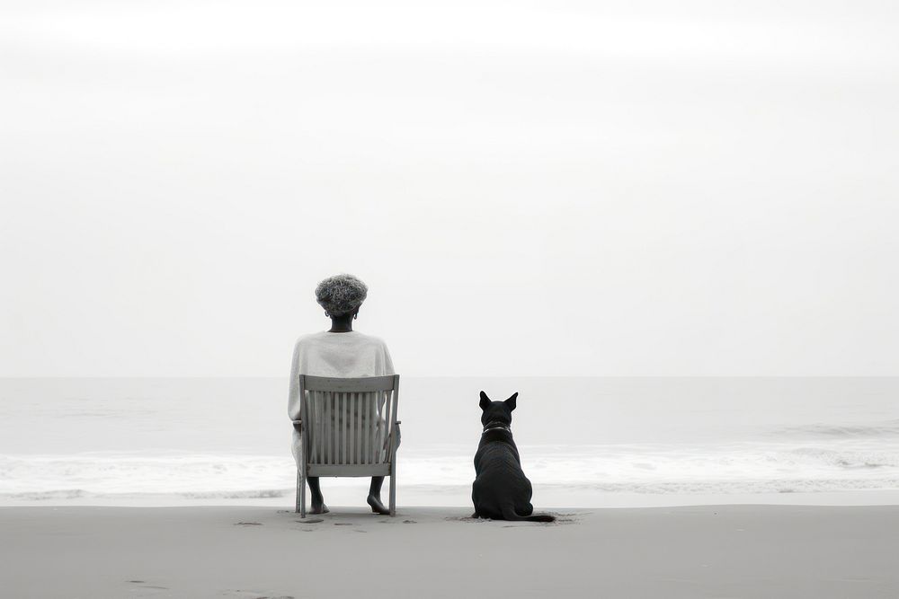 Woman and white dog sitting at beach silhouette outdoors nature.