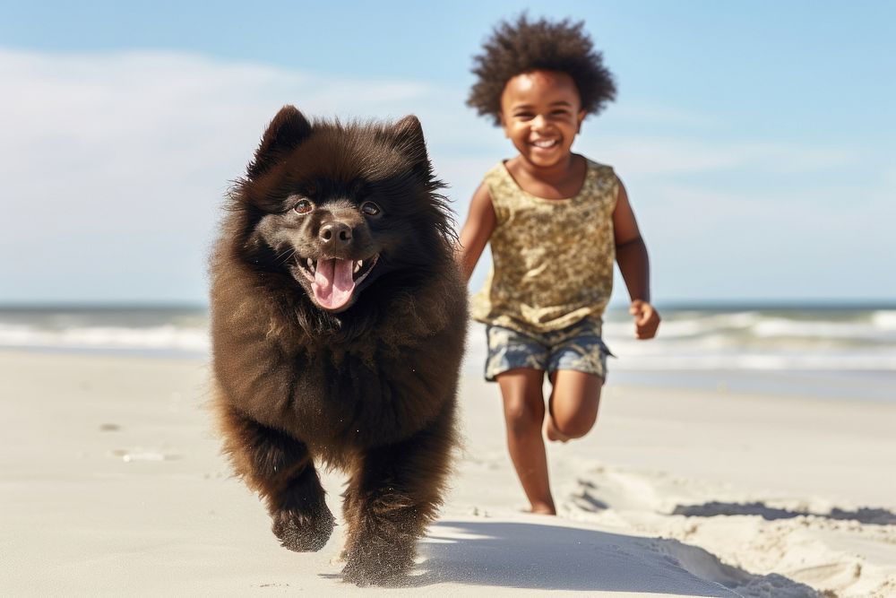 Kid walking with their dog beach pomeranian outdoors.
