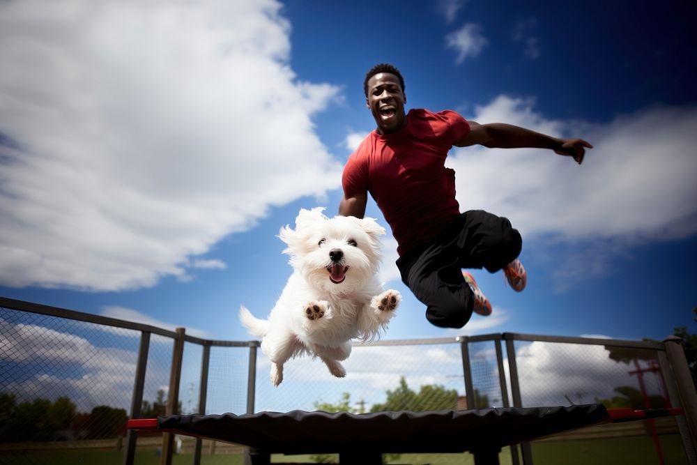 Couple and dog jumping on trampoline portrait outdoors mammal.
