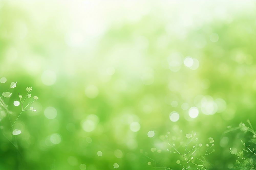 Blur natural green abstract Background backgrounds sunlight outdoors.
