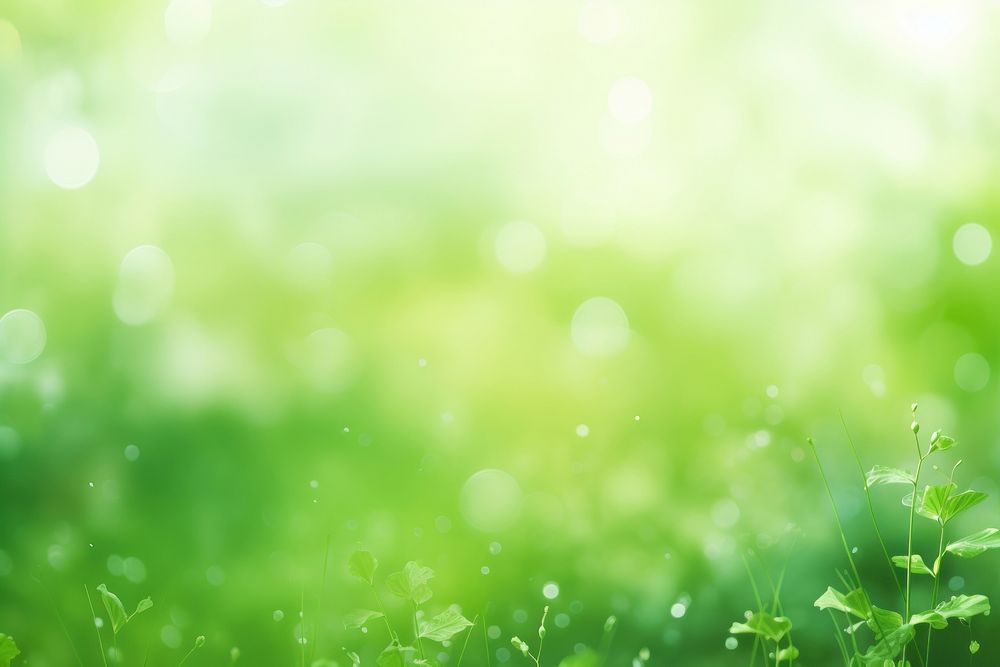 Blur natural green abstract Background backgrounds sunlight outdoors.