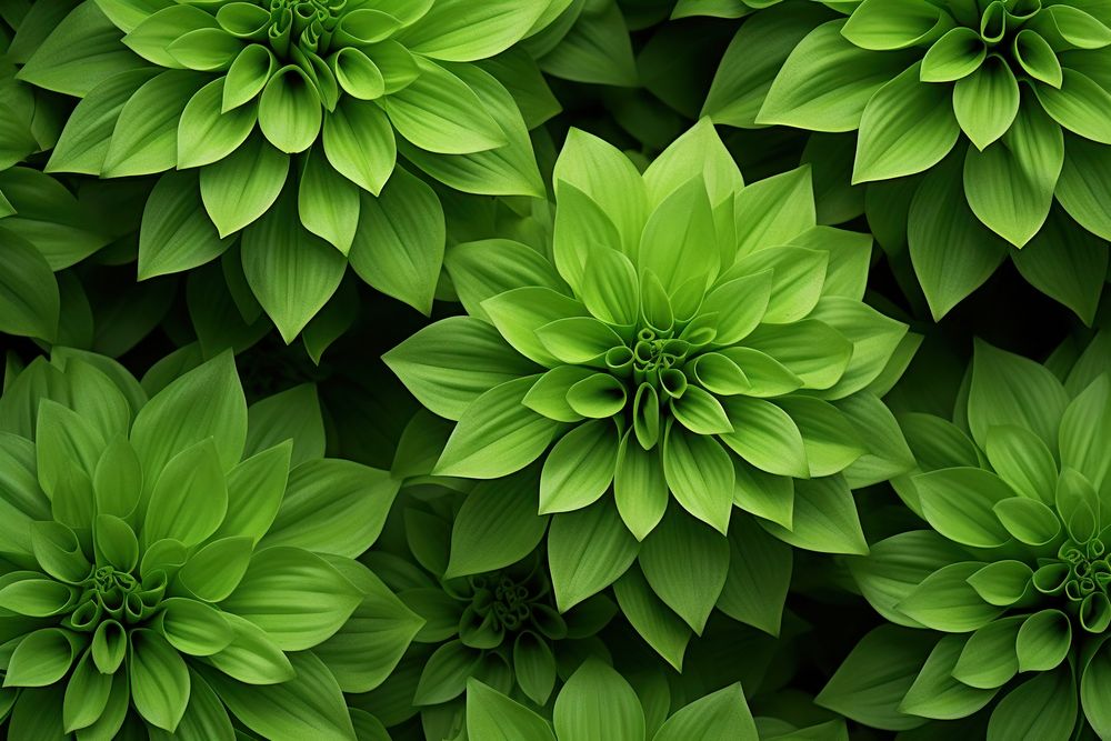  Green Cigar flower leaves backgrounds pattern plant. AI generated Image by rawpixel.