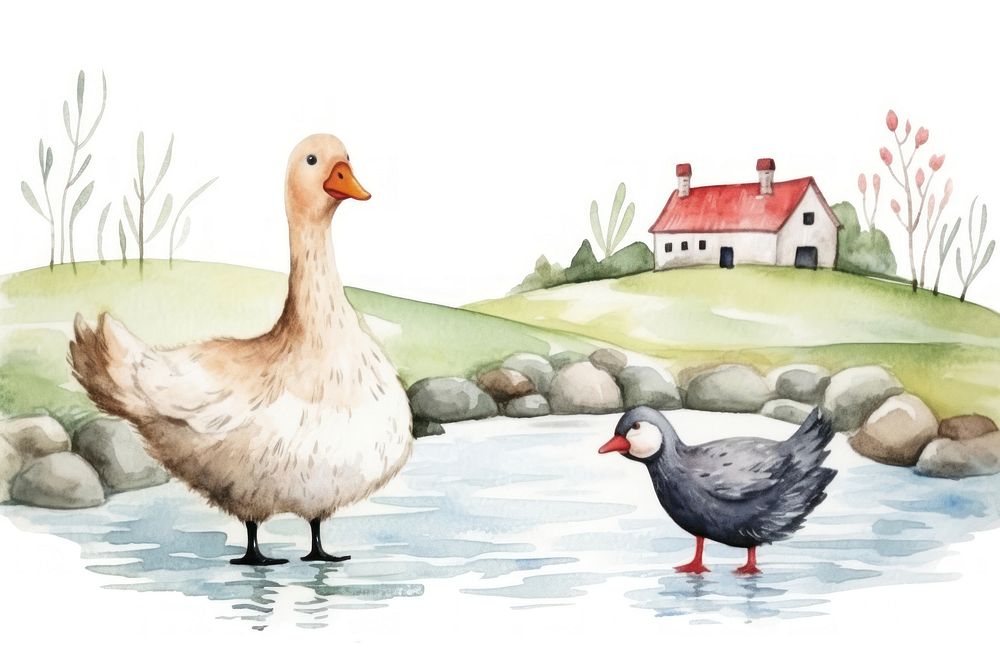 River and goose outdoors animal bird.