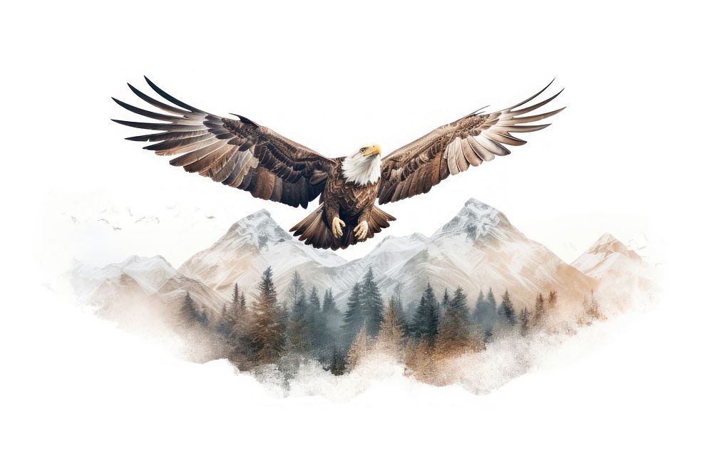 Double exposure photography eagle and mountain animal flying bird.