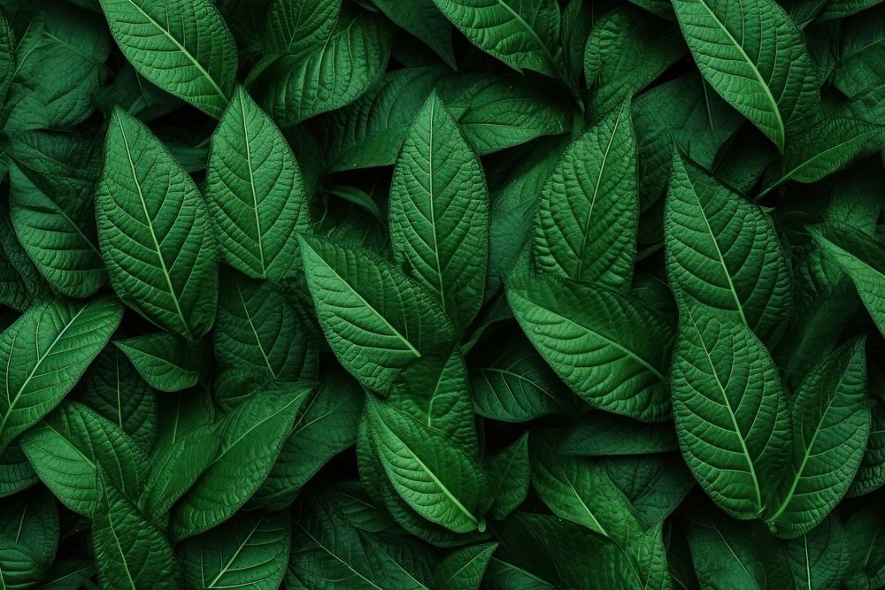 Green Leaf Pattern Textures background green leaf backgrounds.