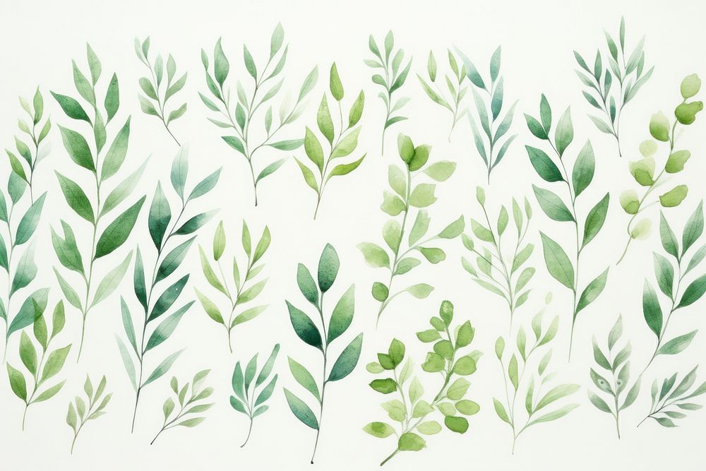 Hand painted leaf watercolor drawing green background backgrounds pattern plant.